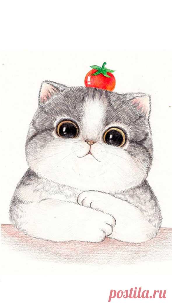 Самые милые нарисованные котики