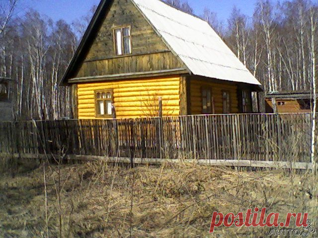 Как справиться с проблемами на даче после зимы - 6 соток