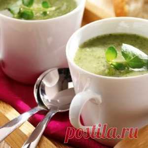 Холодные летние супы: ТОП-5 рецептов