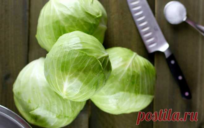 13 рецептов вкусной маринованной капусты (заготовки на зиму и не только) 


Один из способов заготовки капусты на длительное время – это маринование. Рецептов маринования капусты великое множество. И наверняка у каждой хозяйки будет в запасе такой не один. В нашей статье в…