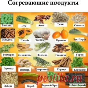 Профилактика онкологических болезней
Питание.
Продукты, которые способствуют развитию онкологии
1) Краситель E-125 (цвет мака SX) и регуляторы кислоты E-510 (хлорид аммония), E-513 (серная кислота), E-527 (аммония гидроокись)
2) Консервант бензонат натрия E-211 (маринованные огурцы, ватрушки, фруктовые пироги, консервы, салатные заправки, креветки, паштет, косметика).
3) Алкоголь.
3) Сахар (особенно белый рафинированный).
4) Бензопирен (копченные мясные изделия, особенно холодным методом, шпрот