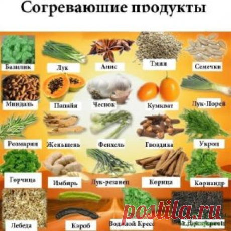 Профилактика онкологических болезней
Питание.
Продукты, которые способствуют развитию онкологии
1) Краситель E-125 (цвет мака SX) и регуляторы кислоты E-510 (хлорид аммония), E-513 (серная кислота), E-527 (аммония гидроокись)
2) Консервант бензонат натрия E-211 (маринованные огурцы, ватрушки, фруктовые пироги, консервы, салатные заправки, креветки, паштет, косметика).
3) Алкоголь.
3) Сахар (особенно белый рафинированный).
4) Бензопирен (копченные мясные изделия, особенно холодным методом, шпрот