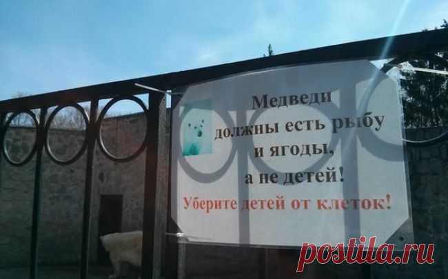 15 объявлений 2015 года, которые невозможно забыть