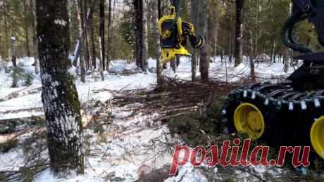 Аренда спец техники