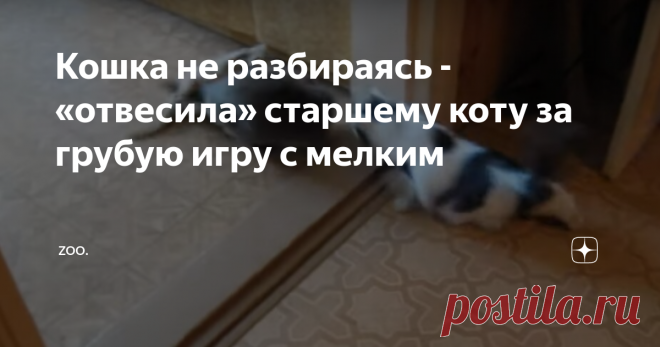 Кошка не разбираясь - «отвесила» старшему коту за грубую игру с мелким Любители домашних животных, чье кошачье семейство увеличилось в размерах, знают, что кошки находятся рядом с малышами и растят их очень ответственно.
Котейки появляются в разных ситуациях и уже нет сомнения в том, что коты это серьезные защитники самих себя и тех, что вокруг.
Неоднократно появляющиеся ролики, где эти хвостатые доказали, что они сильны и могут за себя постоять, даже если перед ним