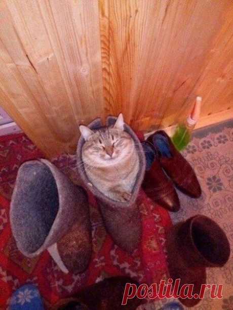 Начало зимы.. хочется тепла...