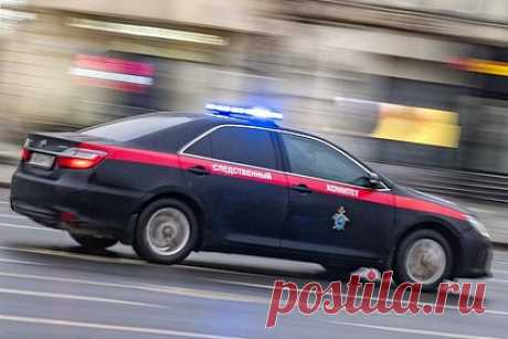 СКР возбудил дело из-за сброшенного под поезд в московском метро подростка. В Москве следователи возбудили дело о покушении на убийство после того, как 61-летний мужчина толкнул под поезд 15-летнего подростка на станции метро «Киевская». Инцидент произошел днем 9 марта. Мужчина подбежал сзади к стоящему у края платформы юноше и толкнул его руками в спину, после чего тот упал под поезд.