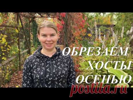 Обрезка хост осенью. Когда, как, чем и зачем обрезать хосты осенью