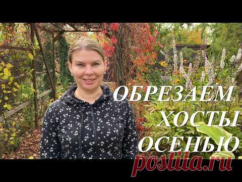 Обрезка хост осенью. Когда, как, чем и зачем обрезать хосты осенью