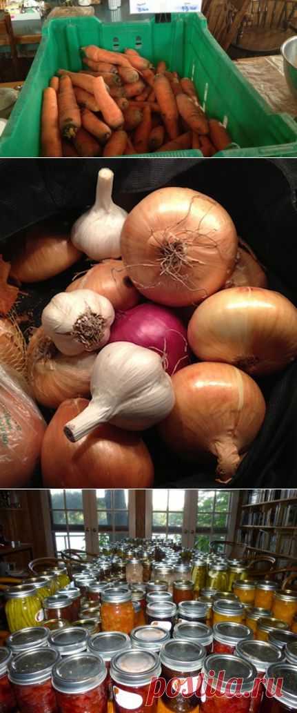 Как прожить всю зиму на местных продуктах