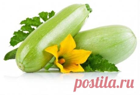 10 полезных фактов о кабачках