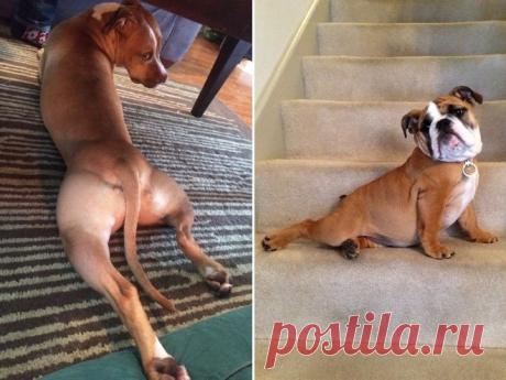 Фотомодели