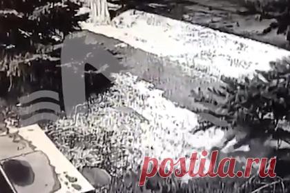 Побег отобравшего у полицейского пистолет-пулемет россиянина попал на видео. Момент побега россиянина Антона Иваницкого из отдела полиции в Таганроге попал на запись с камер наблюдения. На кадрах видно, как из окна полицейского участка спрыгивает мужчина. Он падает на ветки растущей под окном ели, встает и убегает. О побеге Иваницкого сообщалось 9 марта. В тот же день его задержали.