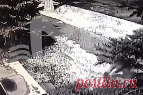 Побег отобравшего у полицейского пистолет-пулемет россиянина попал на видео. Момент побега россиянина Антона Иваницкого из отдела полиции в Таганроге попал на запись с камер наблюдения. На кадрах видно, как из окна полицейского участка спрыгивает мужчина. Он падает на ветки растущей под окном ели, встает и убегает. О побеге Иваницкого сообщалось 9 марта. В тот же день его задержали.