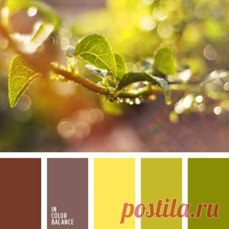 Цветы, деревья — источник вдохновения! | BepHuK собирает друзей