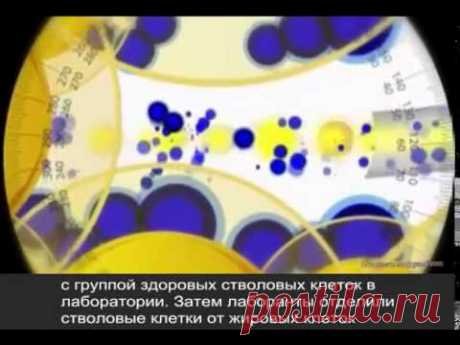 Jeuness Global: Прорыв в борьбе со старением!Выдающийся пластический хирург Натан Ньюман...