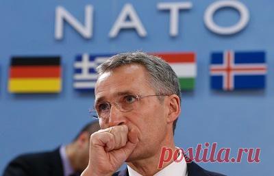 Альянс НАТО «снизошел» до России, сделав заявление | Внешнеэкономические связи