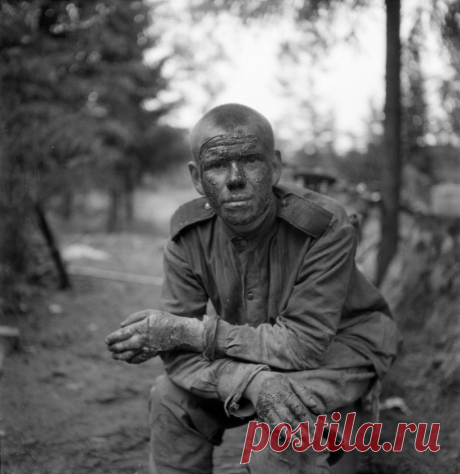 Скажу за и против русских | ЖЖ: troitsa1 Троица | Яндекс Дзен