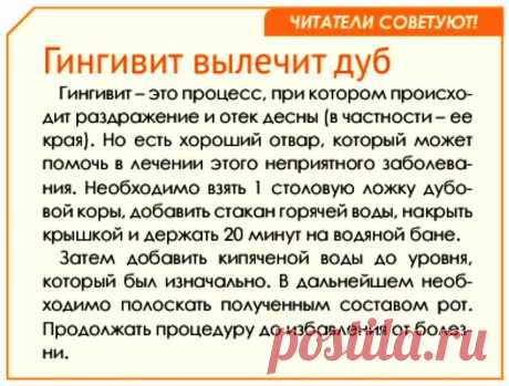 Гингивит вылечит дуб