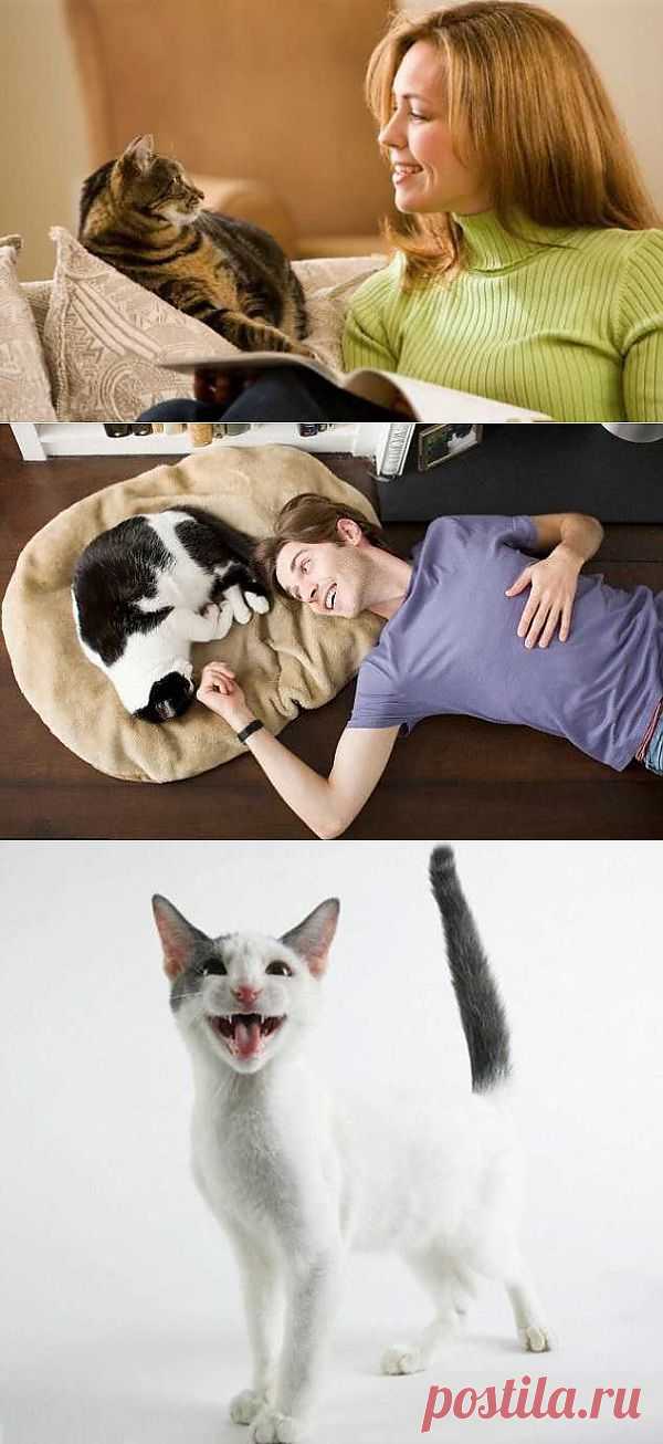 * * * * * * * * * * * * *