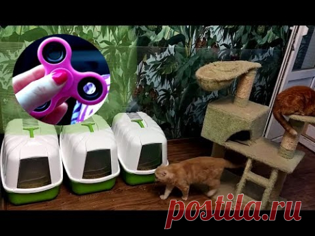 ЗАКРЫТЫЕ ЛОТКИ туалеты для кошек. СПИННЕР. Котята в соседнем питомнике
