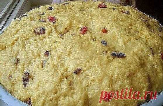 Пасха в этом году выпала на 8 апреля. Сохраните этот изумительный рецепт куличей! 
Александрийское тесто (для куличей) 
Совершенно потрясающие куличи! Сладкие, нежные, мягкие... Вкуснее я не ела в жизни! 
Рецепт бабушкин, готовит она по этому рецепту уже несколько десятков лет. 
С порции получается очень много куличей, смело делите количество на 2, 3, 4... 
1 л. топленого молока; 
1 кг. сахара; 
500 гр. слив. масла; 
10 яиц; 
3 желтка; 
150 гр. свежих дрожжей. 
Яйца слегка взбить, масло порез