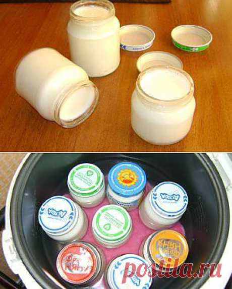 Йогурт в мультиварке Panasonic. Живой, вкусный! | Tehnopovar.ru