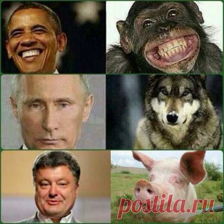 Украинский креатив | Ваше мнение