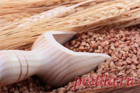 Каша не из топора: О видах и свойствах круп