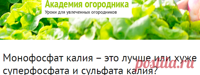Монофосфат калия – это лучше или хуже суперфосфата и сульфата калия? - ответы экспертов 7dach.ru