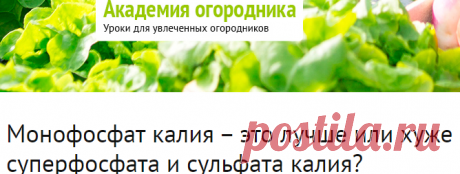 Монофосфат калия – это лучше или хуже суперфосфата и сульфата калия? - ответы экспертов 7dach.ru