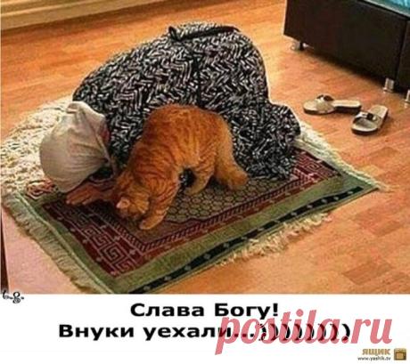 Аллилуя!