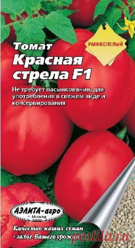 Томат "Красная Стрела", раннеспелый сорт