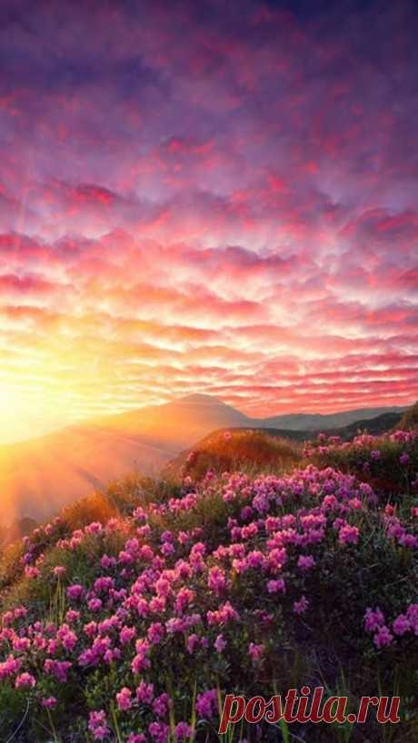 sunrise and red clouds - Imgur