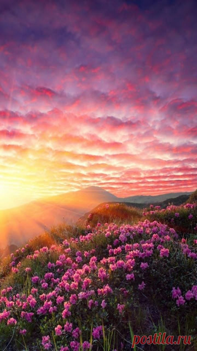 sunrise and red clouds - Imgur