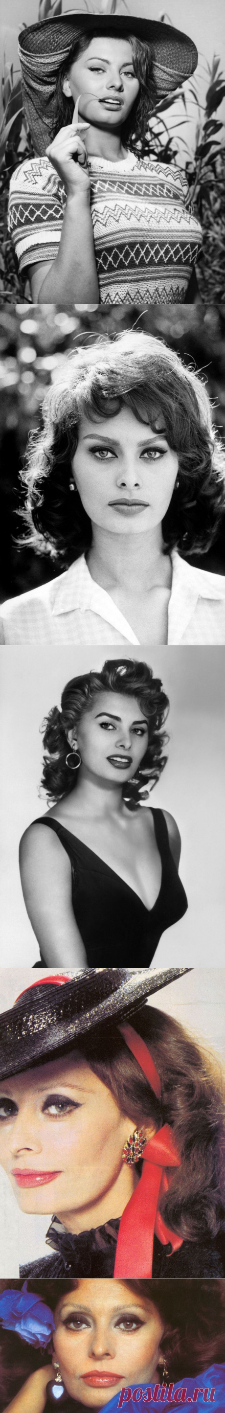 Софи Лорен - 80. Ад и рай - это две половины души | У нас все звезды