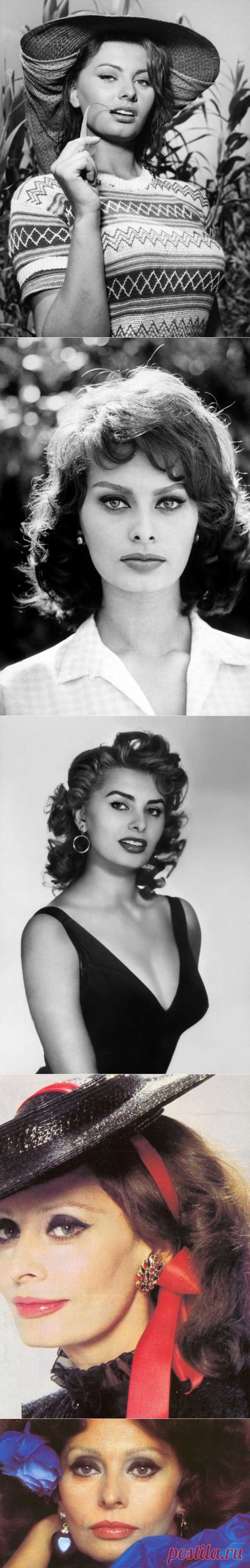 Софи Лорен - 80. Ад и рай - это две половины души | У нас все звезды