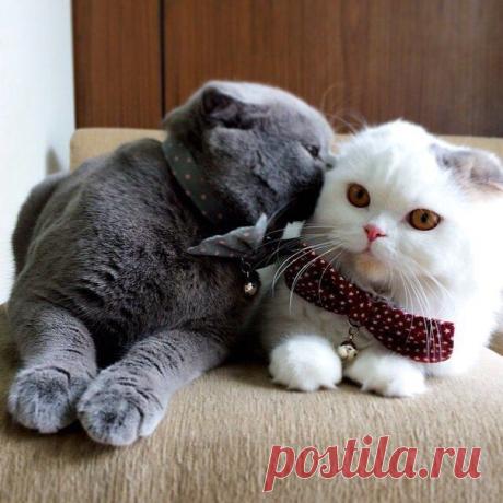 Новости