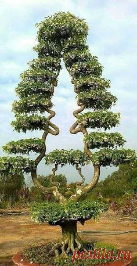 Pinterest