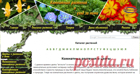 Уход за комнатными растениями, комнатные растения фото и названия, каталог растений и цветов, комнатные растения и цветы
