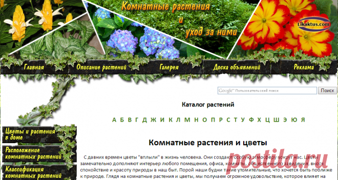 Уход за комнатными растениями, комнатные растения фото и названия, каталог растений и цветов, комнатные растения и цветы