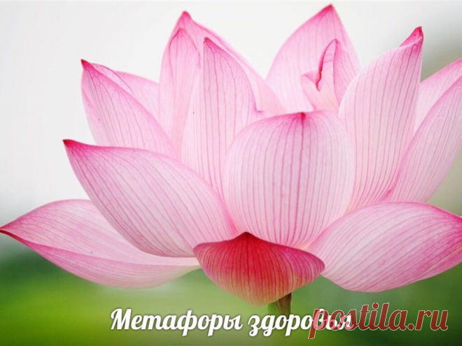 КАК ИЗБАВИТЬСЯ ОТ НЕГАТИВНЫХ МЫСЛЕЙ