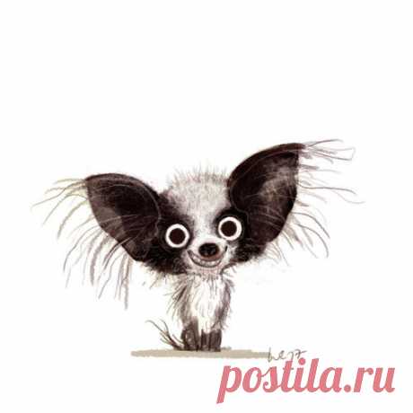 Смешные коты, собаки-улыбаки и другие забавные животные, которые вас повеселят | Иллюстратор Вибке Раурс | "Позитив красок" Дарьи Орловой | Дзен