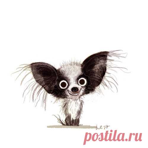 Смешные коты, собаки-улыбаки и другие забавные животные, которые вас повеселят | Иллюстратор Вибке Раурс | 