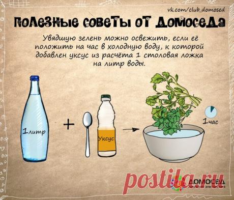 Полезные советы от Домоседа
