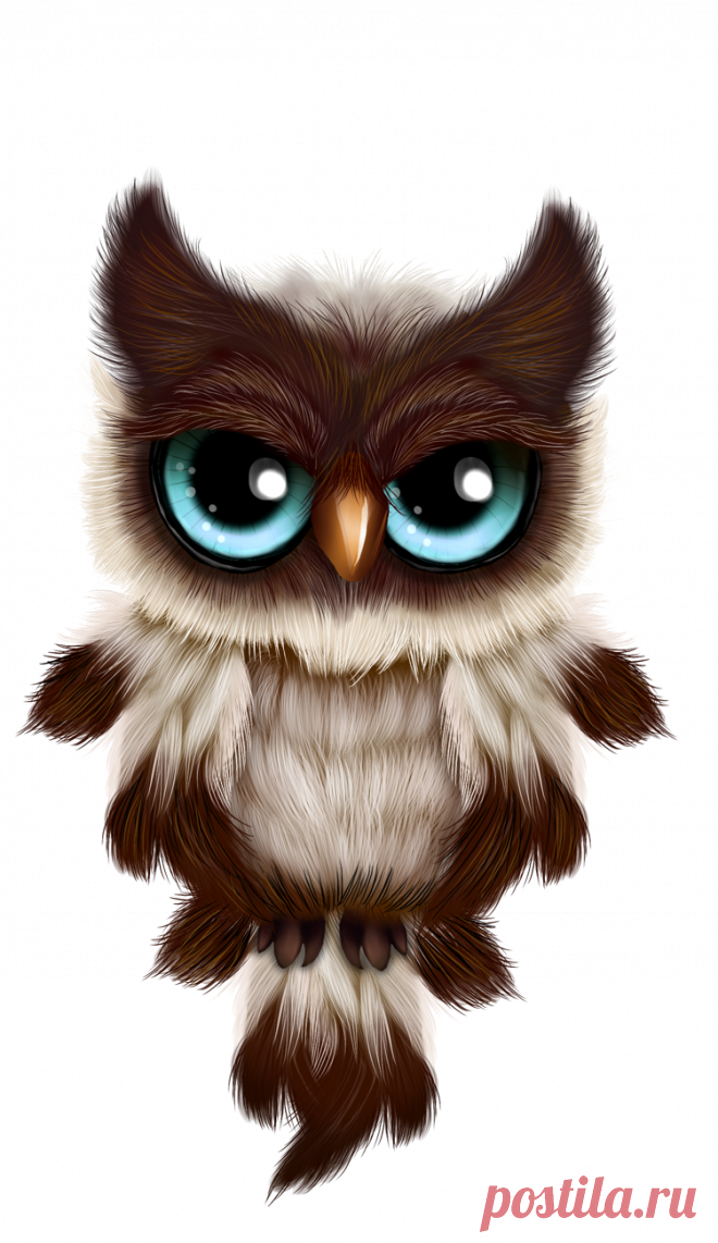 Pin by Kathy Adams on Rock Art | Owls drawing, Big eyes art, Owl artwork