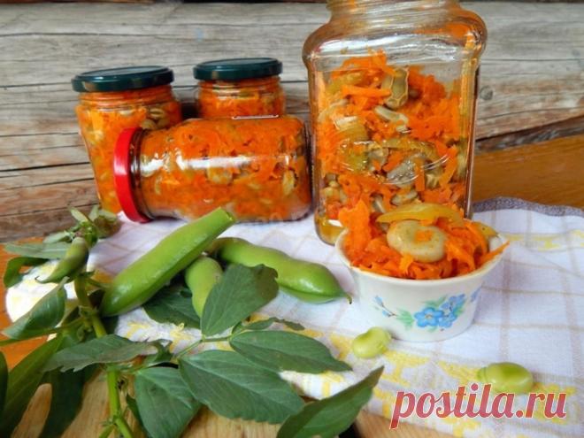 Бобы на зиму