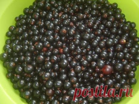 Смородина на зиму