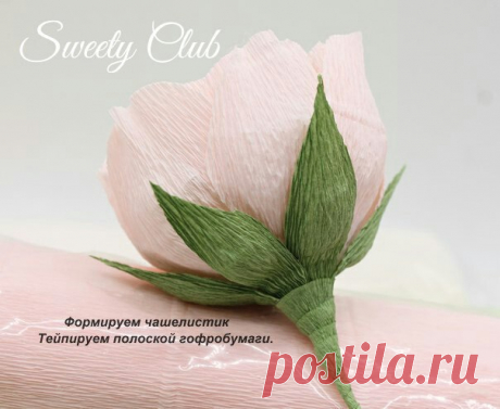 Sweety Club /Свит-дизайн, Букеты из конфет