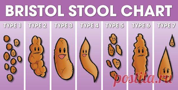 Что ваши фекалии расскажут о вас